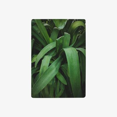 The Range Atmospheric Background, Selective Focus Designer Rug - Green / 200cm