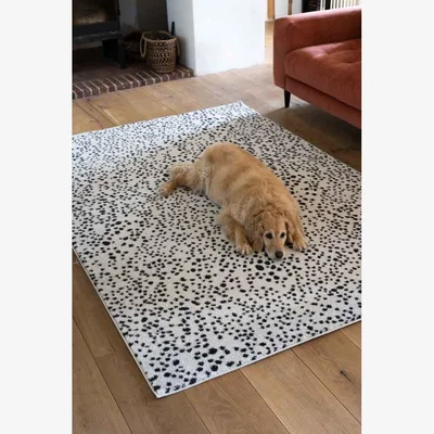 Rockett St George Muse Monochrome Dalmatian Spot Rug - 2 Sizes Available