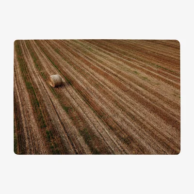 The Range Aerial View Of Hay Bale Fields Designer Rug - Brown / 200cm