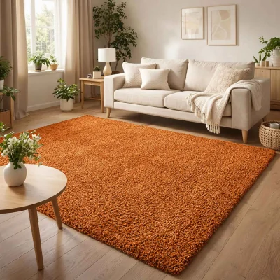 The Range Ainsley Plain Living Room Shaggy Area Rug Modern Soft Pile Polyester Rug - Terracotta / 230cm
