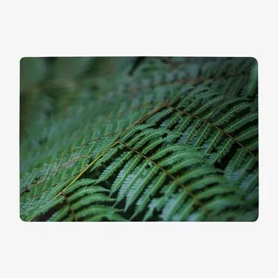 The Range Grren Leaves Pattern And Texture At Indonesia Designer Rug - Green / 150cm