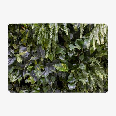 The Range Urban Jungle, Modern Interior Decoration Designer Rug - Green / 150cm