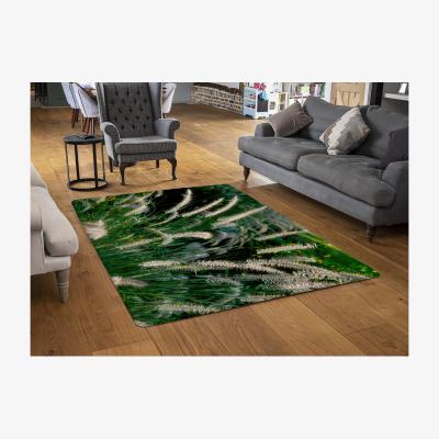 The Range Decorative Cat Tail Grass Growing Along A Walkway Designer Rug - Green / 110cm