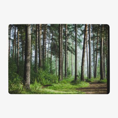 The Range Beautiful Summer Forest With Different Trees Designer Rug - Green / 150cm
