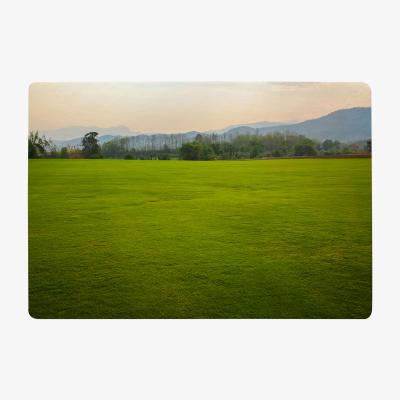 The Range Image Of Lush Grass Field Designer Rug - Green / 200cm