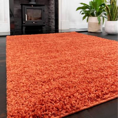 The Range Soft Value Orange Terracotta Shaggy Area Rug - Terracotta / 220 x 160cm