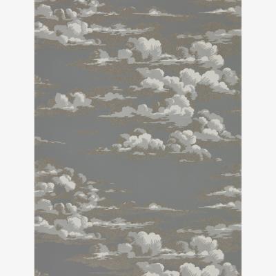 The Rug Seller Silvi Clouds Wallpaper 216603 by Sanderson in Taupe Grey&nbsp;Roll