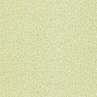 The Rug Seller Standen Wallpaper 210469 by Morris & Co in Fennel GreenRoll