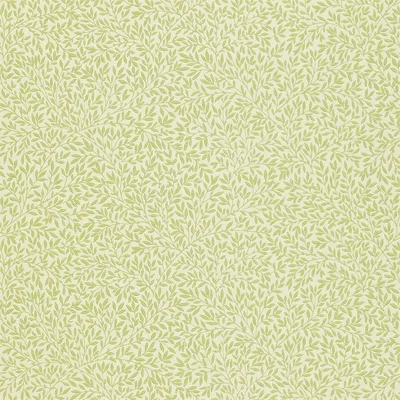 The Rug Seller Standen Wallpaper 210469 by Morris & Co in Fennel GreenRoll