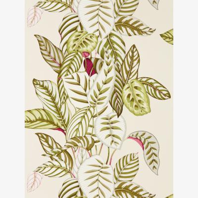 The Rug Seller Calathea Wallpaper 216631 by Sanderson in Olive Green&nbsp;Roll