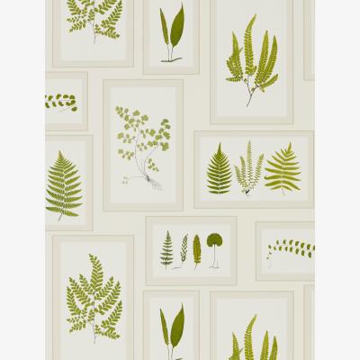 The Rug Seller Fern Gallery Wallpaper 215712 by Sanderson in Ivory Green&nbsp;Roll