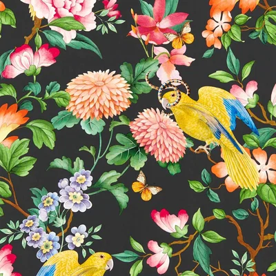 The Rug Seller Golden Parrot Wallpaper W0130 04 by Wedgwood in Noir&nbsp;Roll
