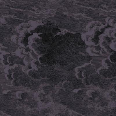 The Rug Seller Nuvolette Wallpaper 2 Roll Set 28057 by Cole & Son in Midnight&nbsp;Roll