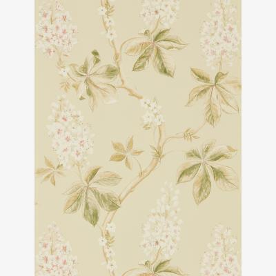 The Rug Seller Chestnut Tree Wallpaper 215709 by Sanderson in Bayleaf Green&nbsp;Roll