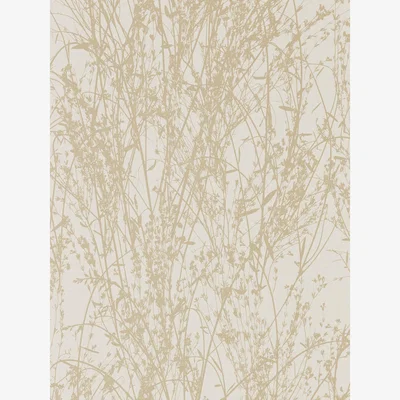 The Rug Seller Meadow Canvas Wallpaper 215697 by Sanderson in Wheat Cream&nbsp;Roll