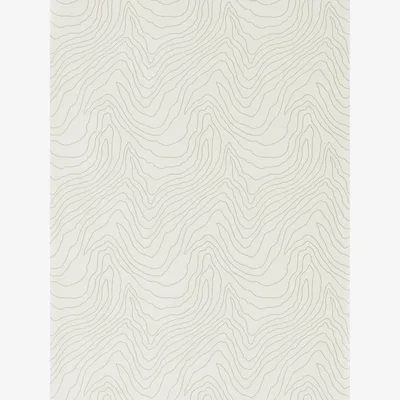 The Rug Seller Formation Wallpaper 111589 by Harlequin in Pearl WhiteRoll