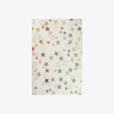 The Rug Seller Esterya rugs 4636 060 by Esprit80x150cm