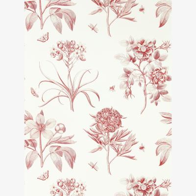The Rug Seller Etchings & Roses Wallpaper 217053 by Sanderson in Amanpuri Red&nbsp;Roll