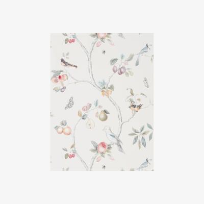 The Rug Seller Fruit Aviary Wallpaper 216314 by Sanderson in Cream MultiRoll