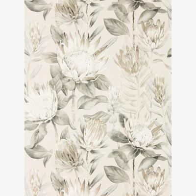 The Rug Seller King Protea Wallpaper 216647 by Sanderson in Linen Mica Beige&nbsp;Roll