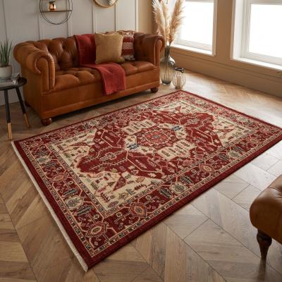 The Rug Seller Nomad 1801 X Traditional Rugs in Multi