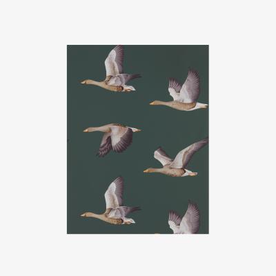The Rug Seller Elysian Bird Wallpaper 216608 by Sanderson in Amsterdam Green&nbsp;Roll