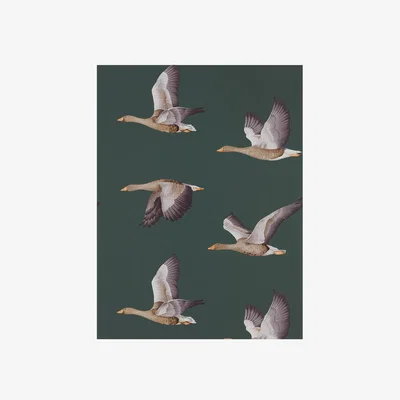 The Rug Seller Elysian Bird Wallpaper 216608 by Sanderson in Amsterdam Green&nbsp;Roll