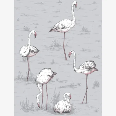 The Rug Seller Flamingos Wallpaper 11040 by Cole & Son in Lilac GreyRoll
