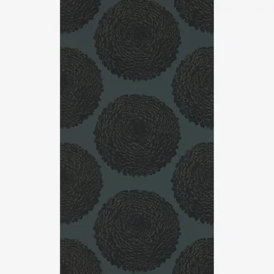 The Rug Seller Elixity Wallpaper 111977 by Harlequin in Onyx BlackRoll