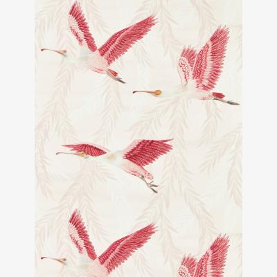 The Rug Seller Valentina Wallpaper 112911 by Harlequin in Blush Blossom&nbsp;Roll