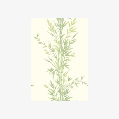 The Rug Seller Bamboo Wallpaper 100 5023 by Cole & Son in Green&nbsp;Roll