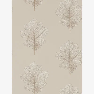 The Rug Seller Oak Filigree Wallpaper 215698 by Sanderson in Stone Gilver&nbsp;Roll