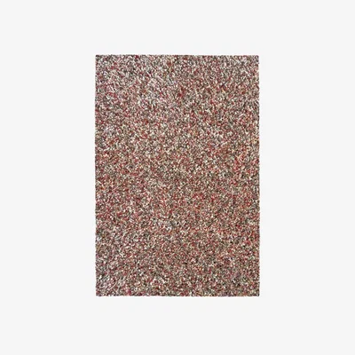 The Rug Seller Coral Modern Speckled Shaggy Rugs 24001 1121 in Red240x340cm