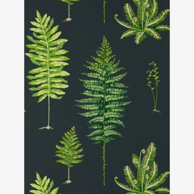 The Rug Seller Fernery Wallpaper 216634 by Sanderson in Botanical Green Charcoal&nbsp;Roll