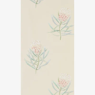 The Rug Seller Protea Flower Wallpaper 216329 by Sanderson in Russet GreenRoll