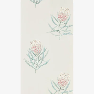 The Rug Seller Protea Flower Wallpaper 216330 by Sanderson in Porcelain BlushRoll