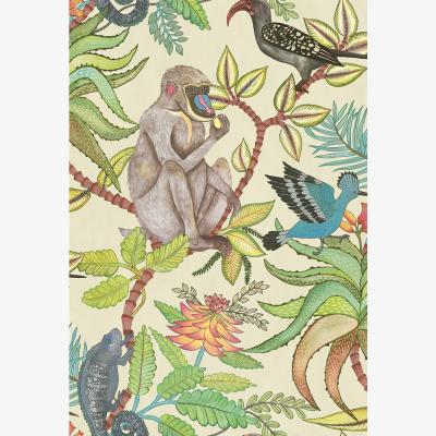 The Rug Seller Savuti Wallpaper 1007 by Cole & Son in Bright MultiRoll