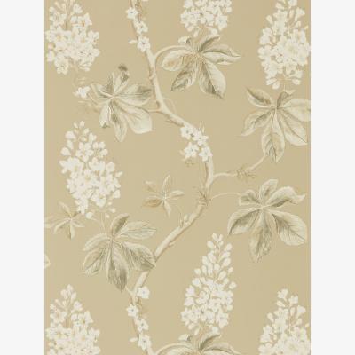 The Rug Seller Chestnut Tree Wallpaper 215711 by Sanderson in Wheat Beige&nbsp;Roll