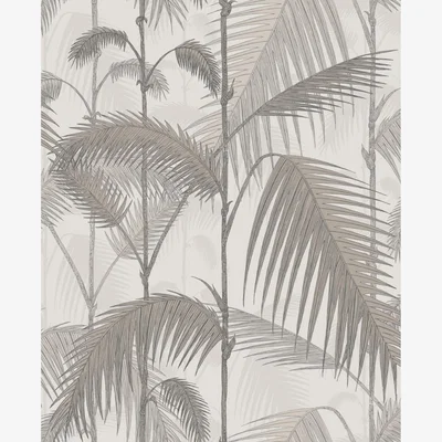 The Rug Seller Palm Jungle Wallpaper 1004 by Cole & Son in Stone TaupeRoll