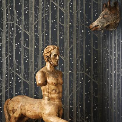 The Rug Seller Woods & Stars Wallpaper 11053 by Cole & Son in Charcoal GreyRoll