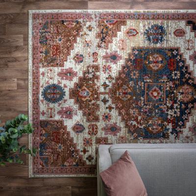 The Rug Seller Zola Aras Traditional Persian Rugs in Multi
