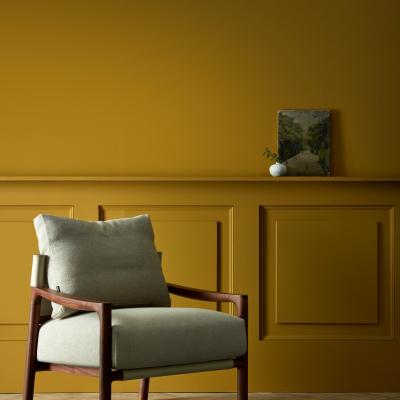 The Rug Seller Elite Emulsion Paint by Zoffany in Tigers Eye2.5