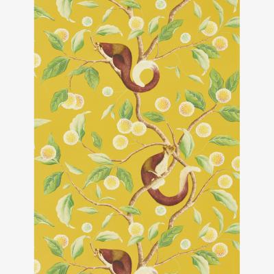 The Rug Seller Nellie Wallpaper 112905 by Harlequin in Honey Meadow&nbsp;Roll