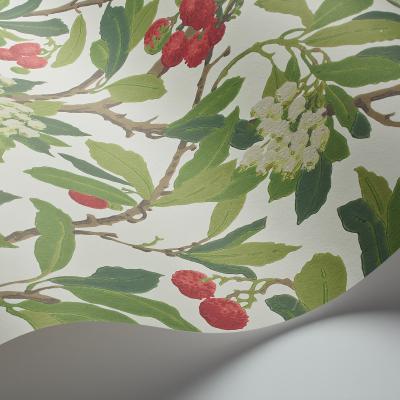 The Rug Seller Strawberry Tree Wallpaper 100 10049 by Cole & Son in Scarlet Ivory&nbsp;Roll