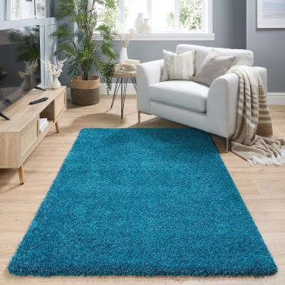 The Rug Seller Buddy Washable Rugs in Teal