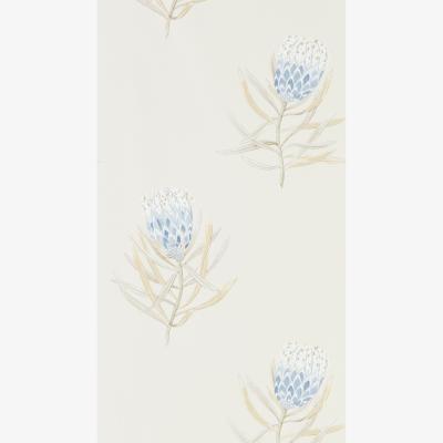 The Rug Seller Protea Flower Wallpaper 216327 by Sanderson in China BlueRoll