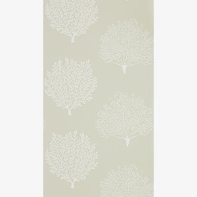 The Rug Seller Coraline Wallpaper 216574 by Sanderson in Driftwood BrownRoll
