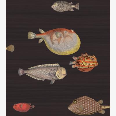 The Rug Seller Acquario Wallpaper 10048 by Cole & Son in Soot Black&nbsp;Roll