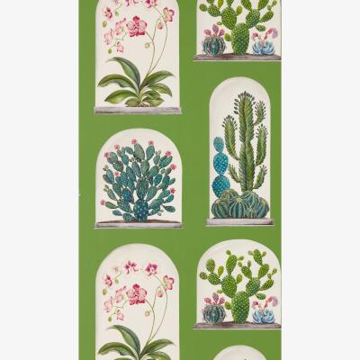 The Rug Seller Terrariums Wallpaper 216656 by Sanderson in Botanical Green Multi&nbsp;Roll