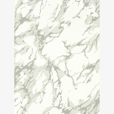 The Rug Seller French Marble Wallpaper 313026 by Zoffany in Empire GreyRoll